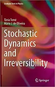 Stochastic Dynamics and Irreversibility