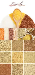 Stock Photo - Cereals & Grains