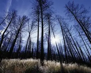 Super Widescreen Nature HQ Wallpapers Collection episode(11)