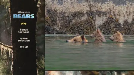 DisneyNature: Bears / Медведи (2014)
