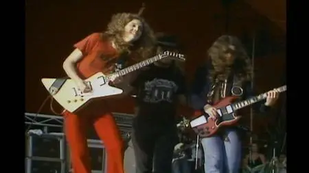 Lynyrd Skynyrd - Live at Knebworth 1976 (2021) [DVD-9 & Blu-ray 1080i/p]