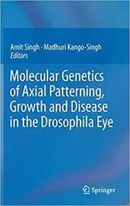 Molecular Genetics of Axial Patterning, Growth and Disease in the Drosophila Eye
