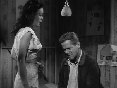 Chicago Calling (1951)