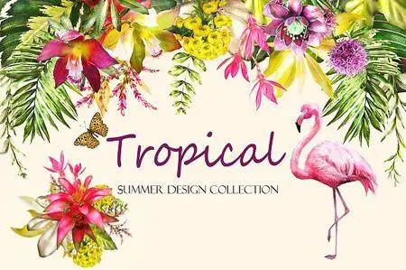 CreativeMarket - Tropical collection. Summer design