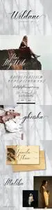 Wildane | Calligraphy Font