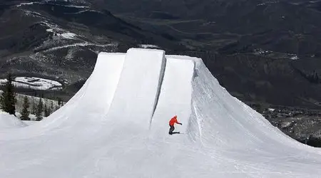 The Art of Flight (2011)