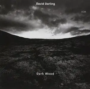David Darling - Dark Wood (1995)