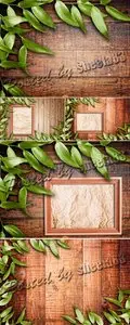 Stock Photo - Green Leaves on Wooden Backgrounds