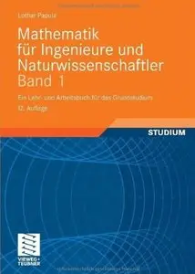 Mathematik für Ingenieure und Naturwissenschaftler Band 1: Ein Lehr- und Arbeitsbuch für das Grundstudium (Auflage: 12)