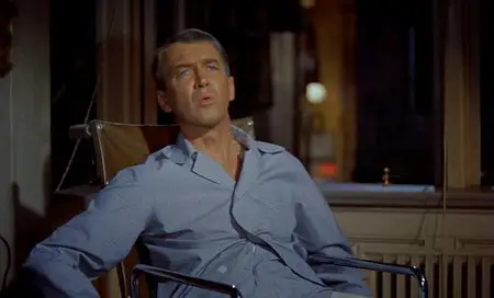 Rear Window (1954)