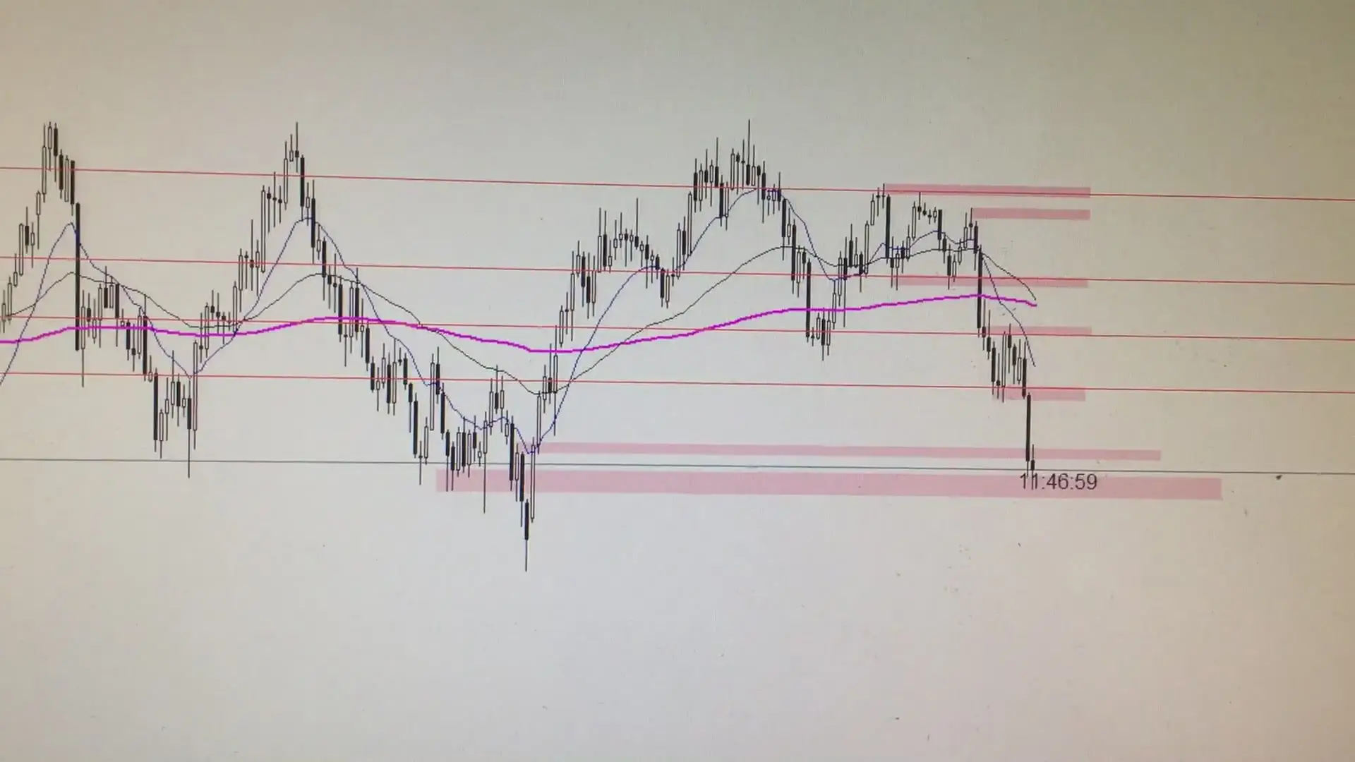 The forex scalper