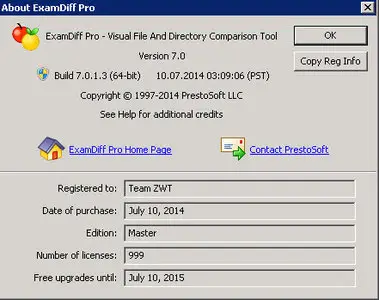 ExamDiff Pro 7.0.1.3 (x86/x64)