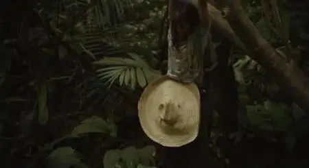 La Loi de la jungl (2016)