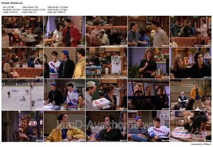 Friends - The Complete First Series (1994)