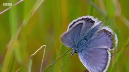BBC Documentaries S2019E74