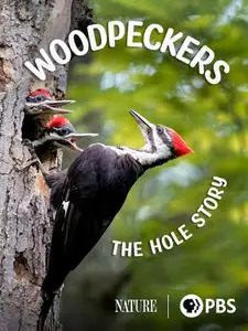 PBS Nature - Woodpeckers: The Hole Story (2022)