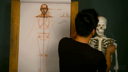 Anatomy Workshop vol.1-5 with Charles Hu