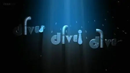 BBC - Dive Dive Dive (2010)