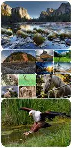 Wallpapers - Nature and animals 11