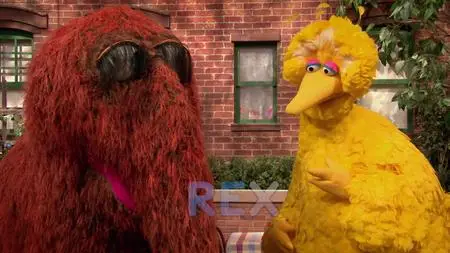 Sesame Street S49E17