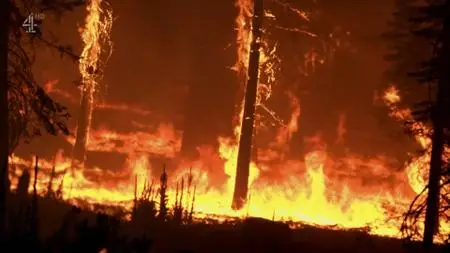 Ch4. - Summer of Wild Weather: Is Worse to Come? (2021)