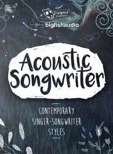 Big Fish Audio & Dieguis Productions - Acoustic Songwriter MULTiFORMAT