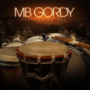 Big Fish Audio MB Gordy Percussion Pack Multiformat (Repack)