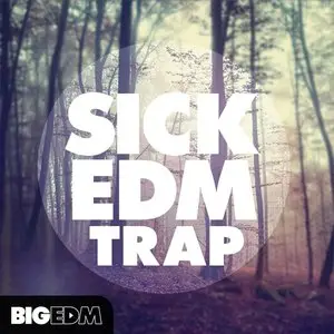 Big EDM - Sick EDM Trap MULTiFORMAT