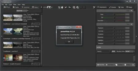 Topaz photoFXlab 1.2.4 (x86/x64)