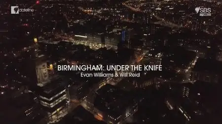 SBS - Dateline: Birmingham Under The Knife (2020)