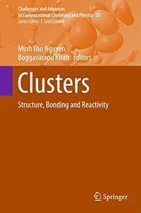 Clusters: Structure, Bonding and Reactivity (Challenges and Advances in Computational Chemistry and Physics) [Repost]