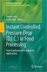 Instant Controlled Pressure Drop (D.I.C.) in Food Processing: From Fundamental to Industrial Applications