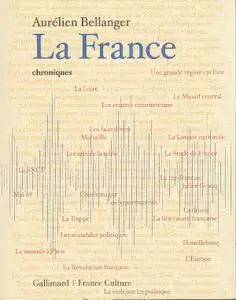 Aurélien Bellanger, "La France: Chroniques"