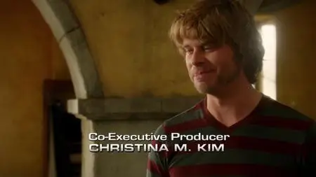 NCIS: Los Angeles S03E19