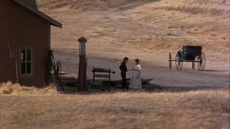 Days of Heaven (1978) [The Criterion Collection]