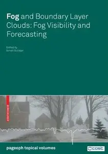 Fog and Boundary Layer Clouds