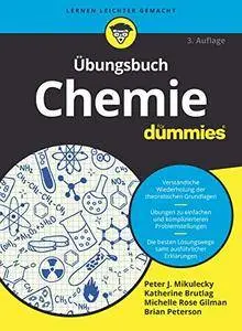 Ubungsbuch Chemie Fur Dummies