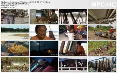 (Arte) En hamac sur l'Amazone (2016)