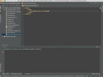 LearnNowOnline - Python 3: Modules, JSON and Algorithms