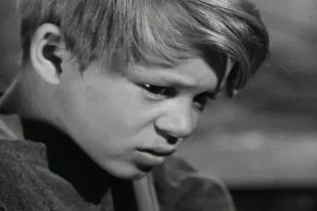 Deadly Is the Female / Gun Crazy (1950)
