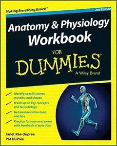 Anatomy and Physiology Workbook For Dummies (2nd Edition)