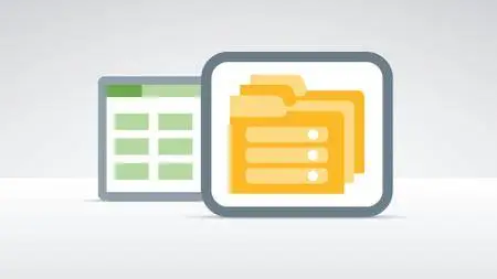 Setting Up a Database in Excel 2010