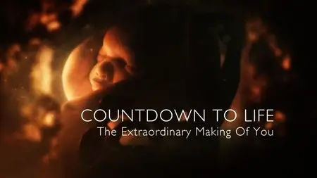 BBC - Countdown to Life: The Extraordinary Making of You (2015)