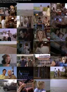 The Birds II: Land's End (1994) 