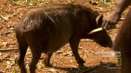 National Geographic: Eating with Cannibals (2018)