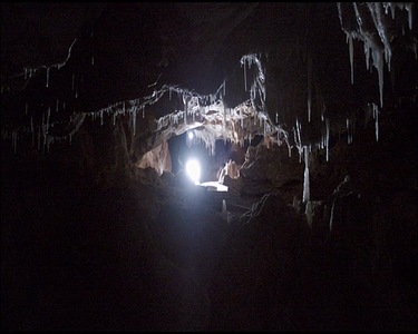 Cave of Forgotten Dreams (2010)