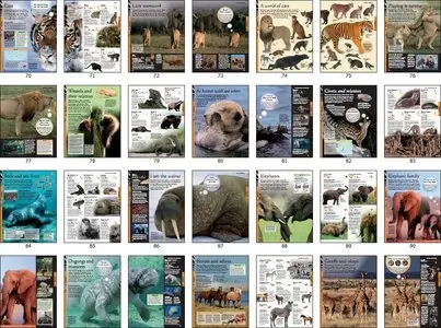 Animals: A Visual Encyclopedia, 2nd Edition