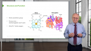 Purine and Pyrimidine Metabolism