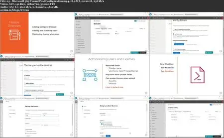 Setting up Microsoft 365 Tenancy and Subscription