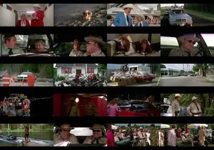 Smokey and the Bandit Part 3 (1983)